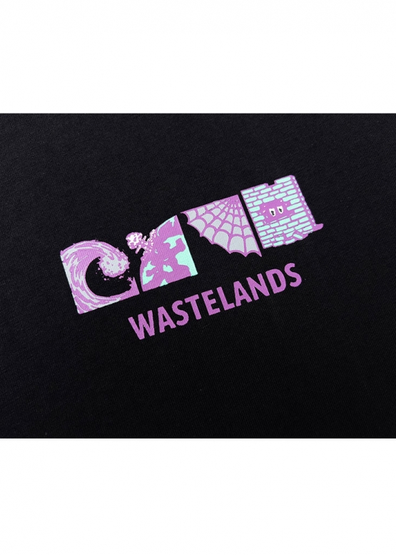 Чёрная футболка Carhartt Wastelands Color Black T-Shirt Unisex