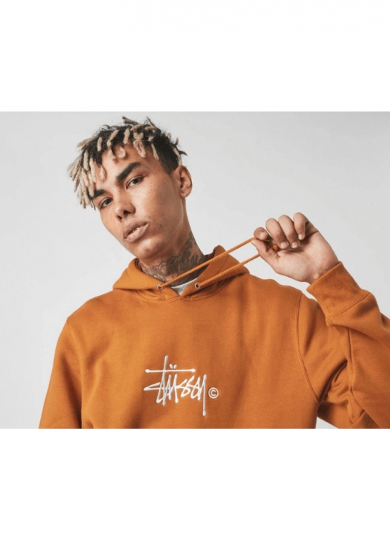 Коричневий худі Shon Stüssy Color Brown Hoodie Unisex