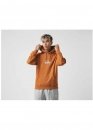 Коричневий худі Shon Stüssy Color Brown Hoodie Unisex
